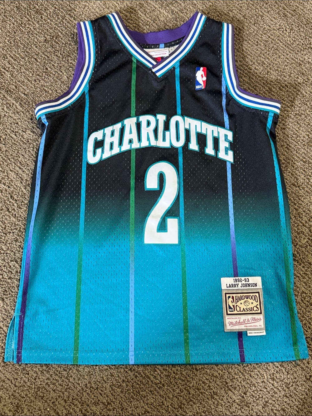 Mitchell & Ness Charlotte Teal Black Purple Hardwood Classics Jersey #2